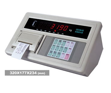 带打印机显示仪表