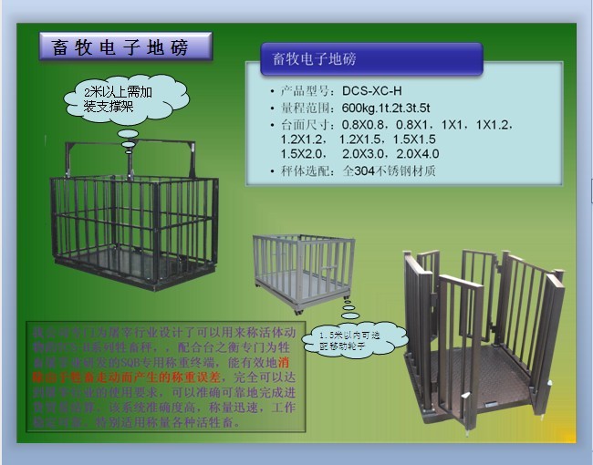 内蒙古称活畜秤，不带围栏畜牧秤，称羊/牛电子磅
