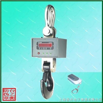 直视10吨、20吨、30吨电子吊钩秤